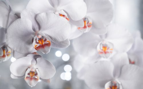 怎么画人在看书简单又好看教程 最好的怎么画人在看书简单详解从入门到精通